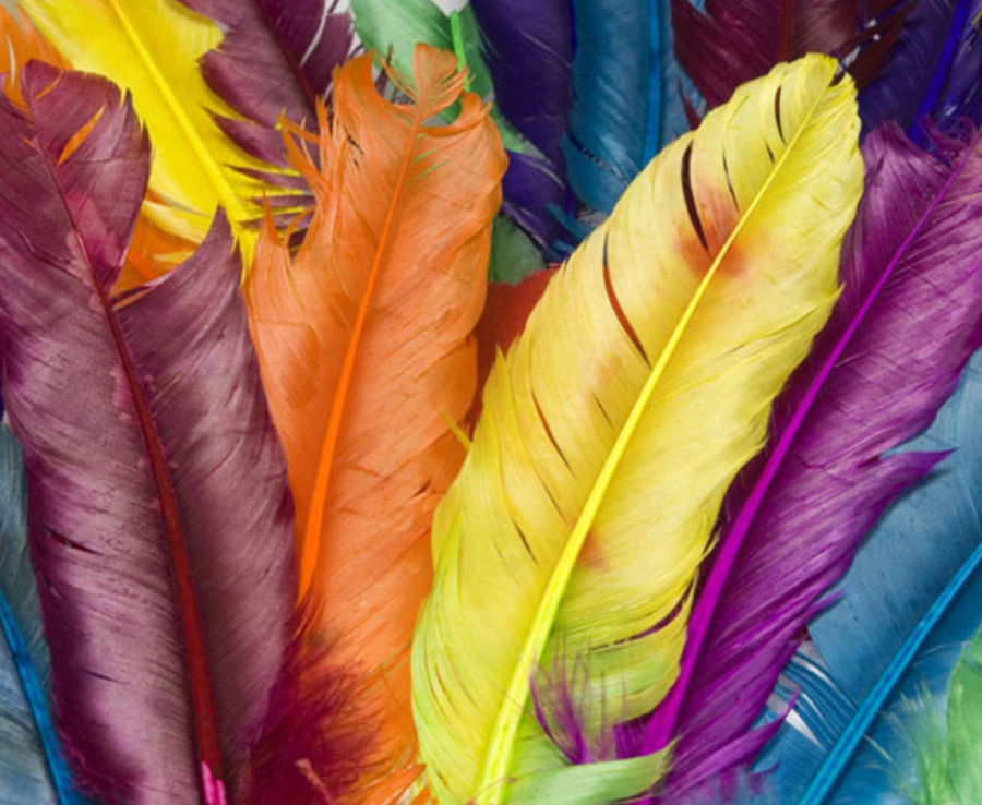 图片2.png 图片2.png